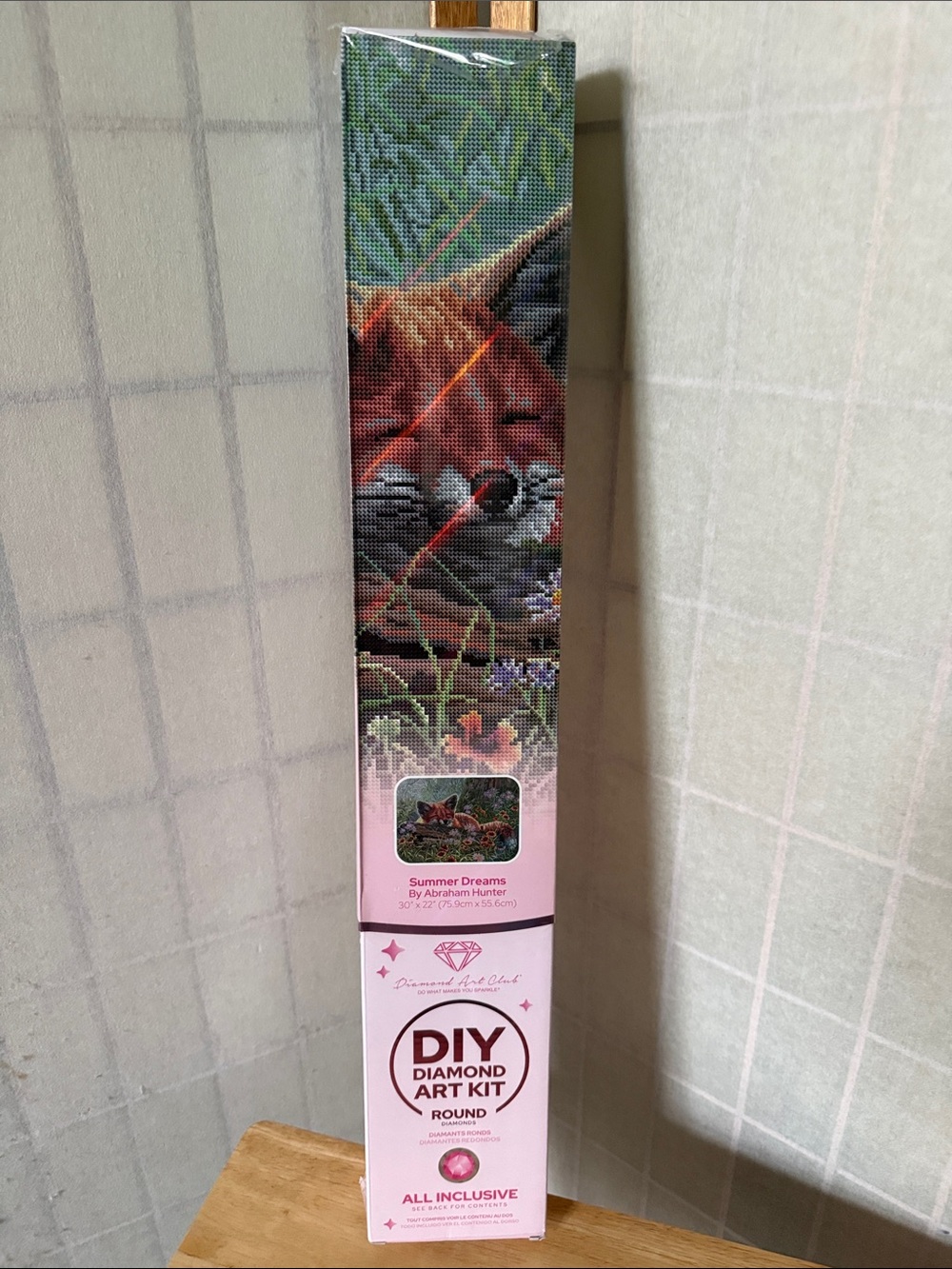 DIY Diamond Art Club Kit - Summer Dreams by Abraham Hunter